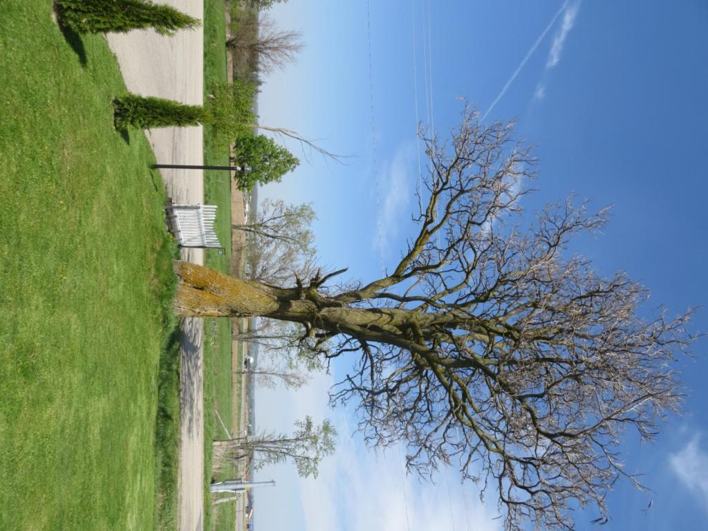 Motel Newburg 2*